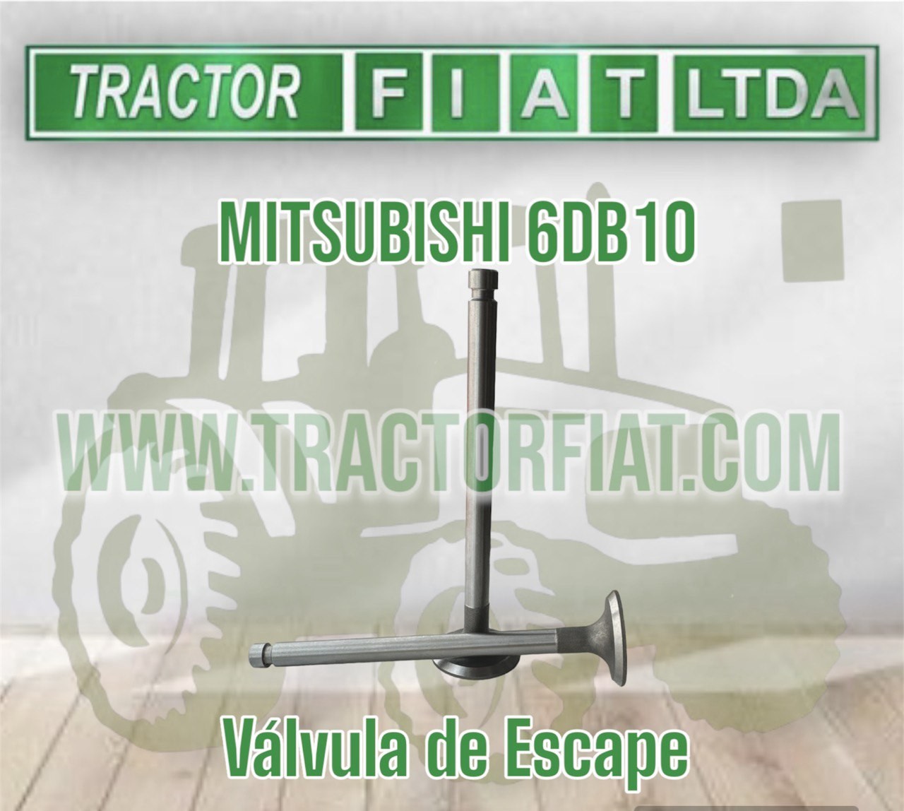 VALVULA DE ESCAPE -MOTOR MITSUBISHI 6DB1